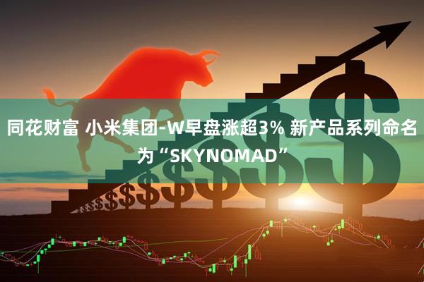 同花财富 小米集团-W早盘涨超3% 新产品系列命名为“SKYNOMAD”