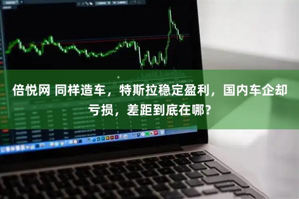 倍悦网 同样造车，特斯拉稳定盈利，国内车企却亏损，差距到底在哪？