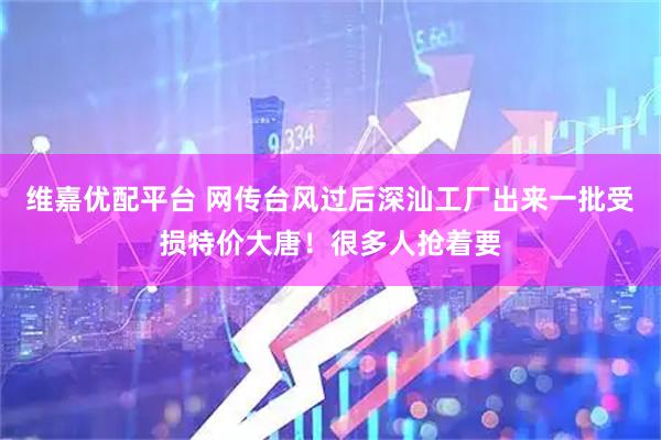 维嘉优配平台 网传台风过后深汕工厂出来一批受损特价大唐！很多人抢着要