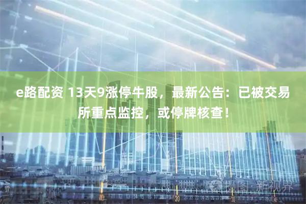 e路配资 13天9涨停牛股，最新公告：已被交易所重点监控，或停牌核查！